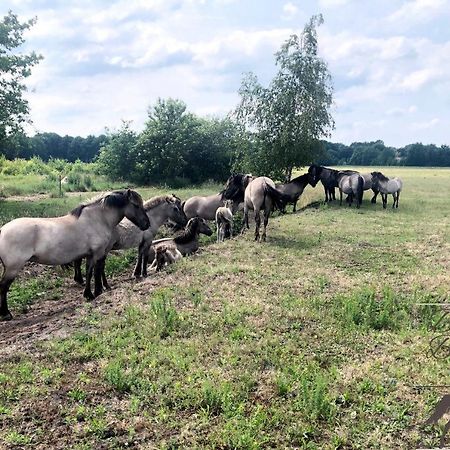 B&B De Konik Буртанье Экстерьер фото